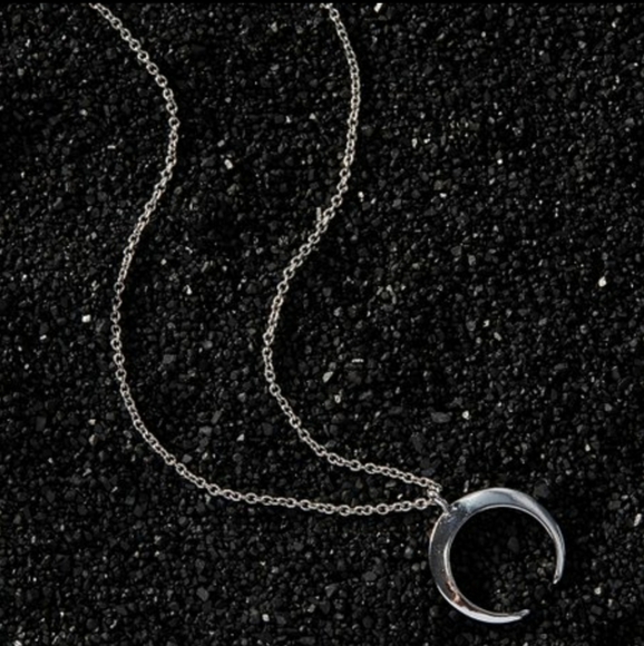 Jewelry - NEW Silver Crest Pendant Necklace